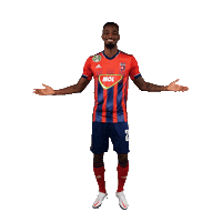 molfehervarfcgif vidi szekesfehervar fehervar molfehervarfc Sticker