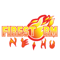 Firestorm Teamtraining Sticker by F45 Training Taipei