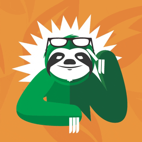 zyladrink giphyupload drink energy sloth GIF
