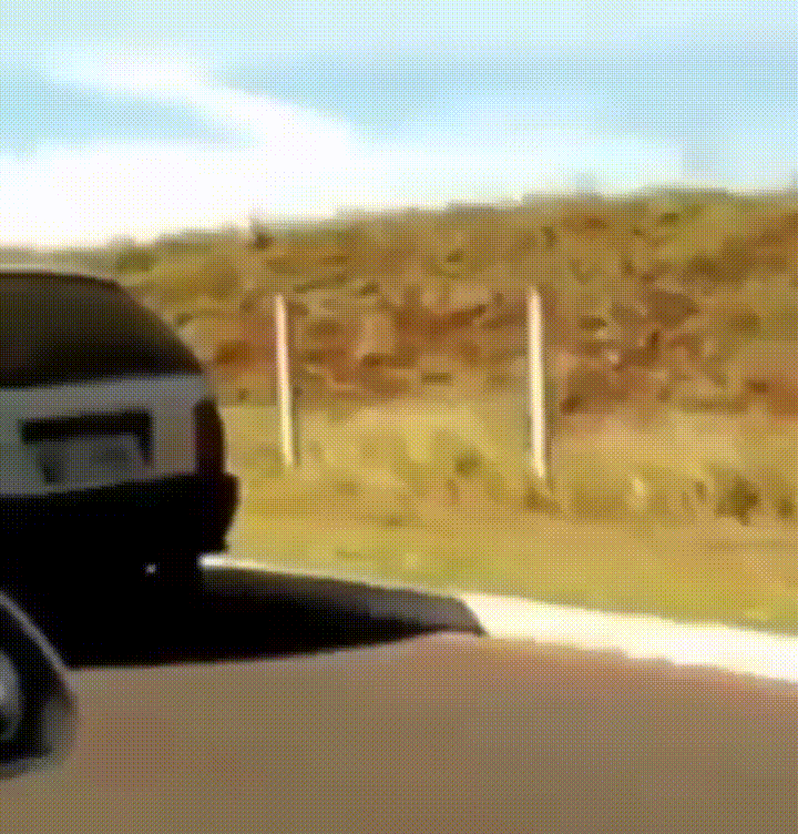Voiture sans roue