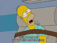 homer simpson GIF