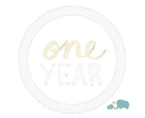 1 Year Birthday Sticker by Baby Nest Designs
