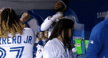 toronto blue jays celebration GIF by EliteSportsTours