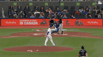 Blue Jays Baseball GIF by Toronto Blue Jays