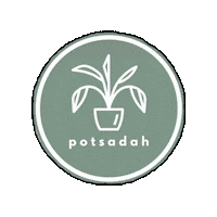 Plants Pots Sticker by mits
