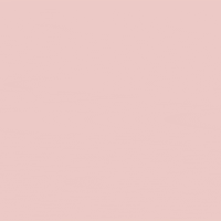 duannemarquesbruno animation smile girl illustration GIF