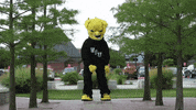 Wu_Shock ballin wu wsu wushock GIF