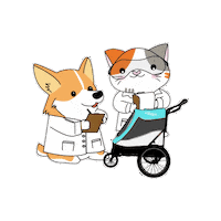 petiquepets safety testing petique ip cat and dog Sticker