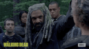 twd GIF by The Walking Dead