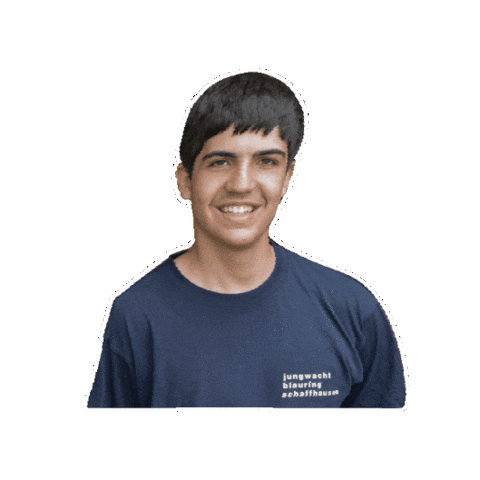 Jungwacht Blauring Sticker by Jubla Schaffhausen