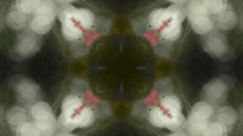 Art Love GIF by jorgemariozuleta