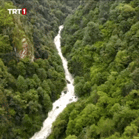 Fresh Air Water GIF by TRT