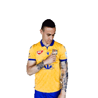 Dac Dunajska Streda Sticker by Fortuna Liga