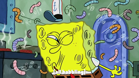 season 10 episode 3 GIF by SpongeBob SquarePants