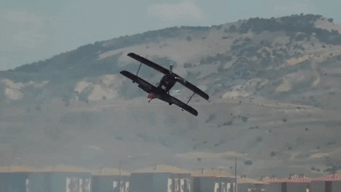 aleoxth giphyupload GIF