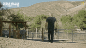 Happy Nat Geo GIF by National Geographic Channel