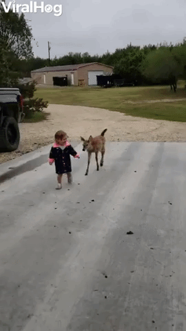 Kiddo Makes Friends with a Fawn