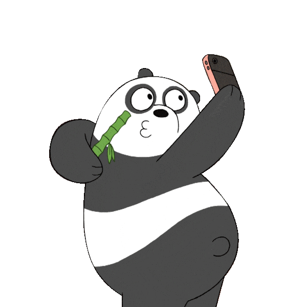 We Bare Bears Animation Sticker by Cartoon Network Asia