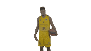 Liga Endesa Basketball Sticker by ACB