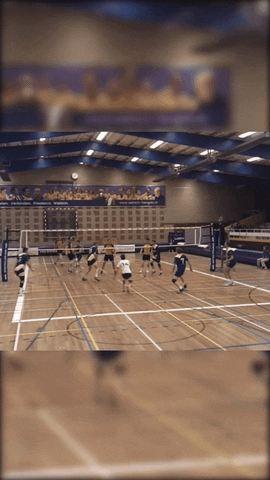 WebtonHengelo giphyupload ennnn5 GIF