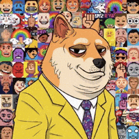Shiba Inu Success GIF by Doge Pound