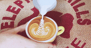 fresh coffee GIF