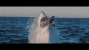 soul thee GIF