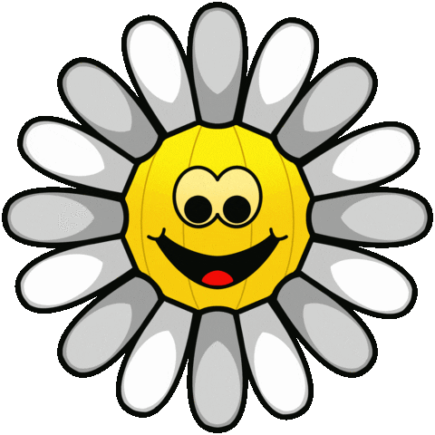 Flower 세븐틴 Sticker