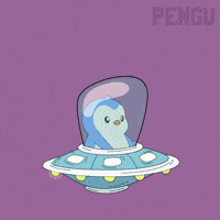 Get In Lets Go GIF by Pudgy Penguins