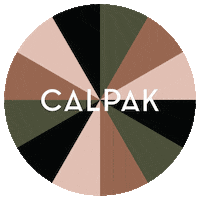 Pink Rainbow Sticker by CALPAK