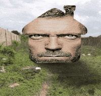 Dr House Lupus GIF