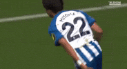 Premier League Football GIF