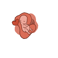 annepires baby bebe gestante gestação Sticker