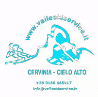 ValleSkiService mountain ski snowboard rental GIF