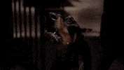 Magnum Pi Premiere GIF by CBS