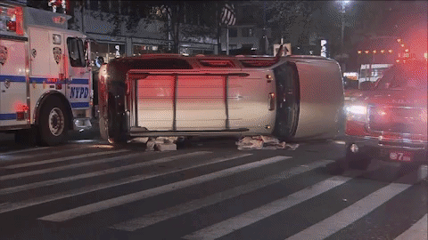 viceland GIF by WEEDIQUETTE