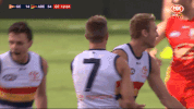 adelaidecrows goal reactions celebrations adelaide crows GIF