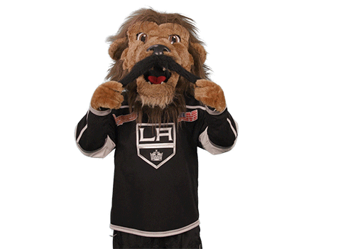 Ice Hockey Sticker by NHL