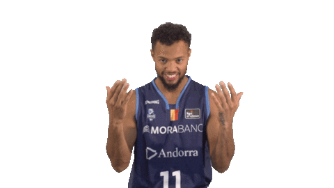 Liga Endesa Basketball Sticker by ACB