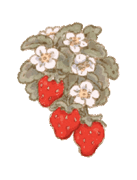 Zoom Strawberry Sticker