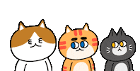 Cat Kitty Sticker by 궁디팡팡 캣페스타