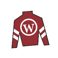 Horse Racing Sticker by Kentucky Derby