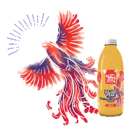 RAWdzinka tropical bird rawdzinka colorful bird sklep rawdzinka Sticker