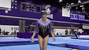 Warriors Gymnastics GIF by WinonaStateATH