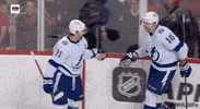Ice Hockey Sport GIF by NHL