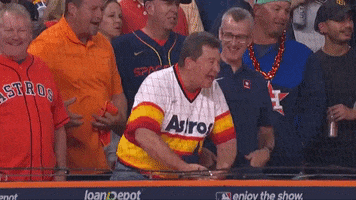Fan Celebrate GIF by MLB