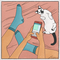 vangodoodle happy cat cats kitty GIF