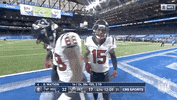 Houston Texans Football GIF by NFL