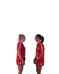 Wilhelmshaven Whv Sticker by whvhandball