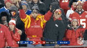 Kansas City Chiefs Football GIF by NFL